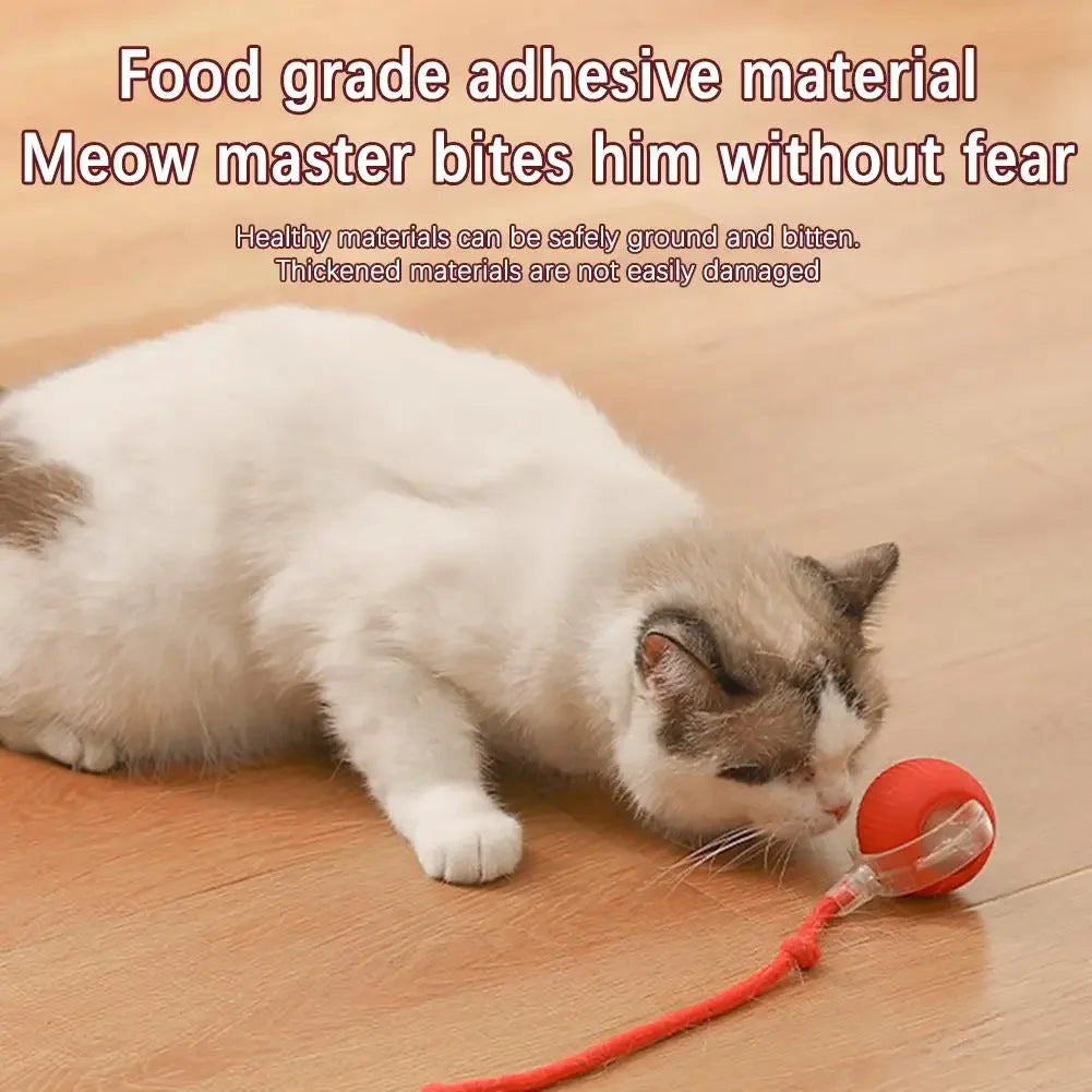 Automatic Rolling Fake Tail Ball – Rechargeable Smart Pet Toy for Cats & Dogs